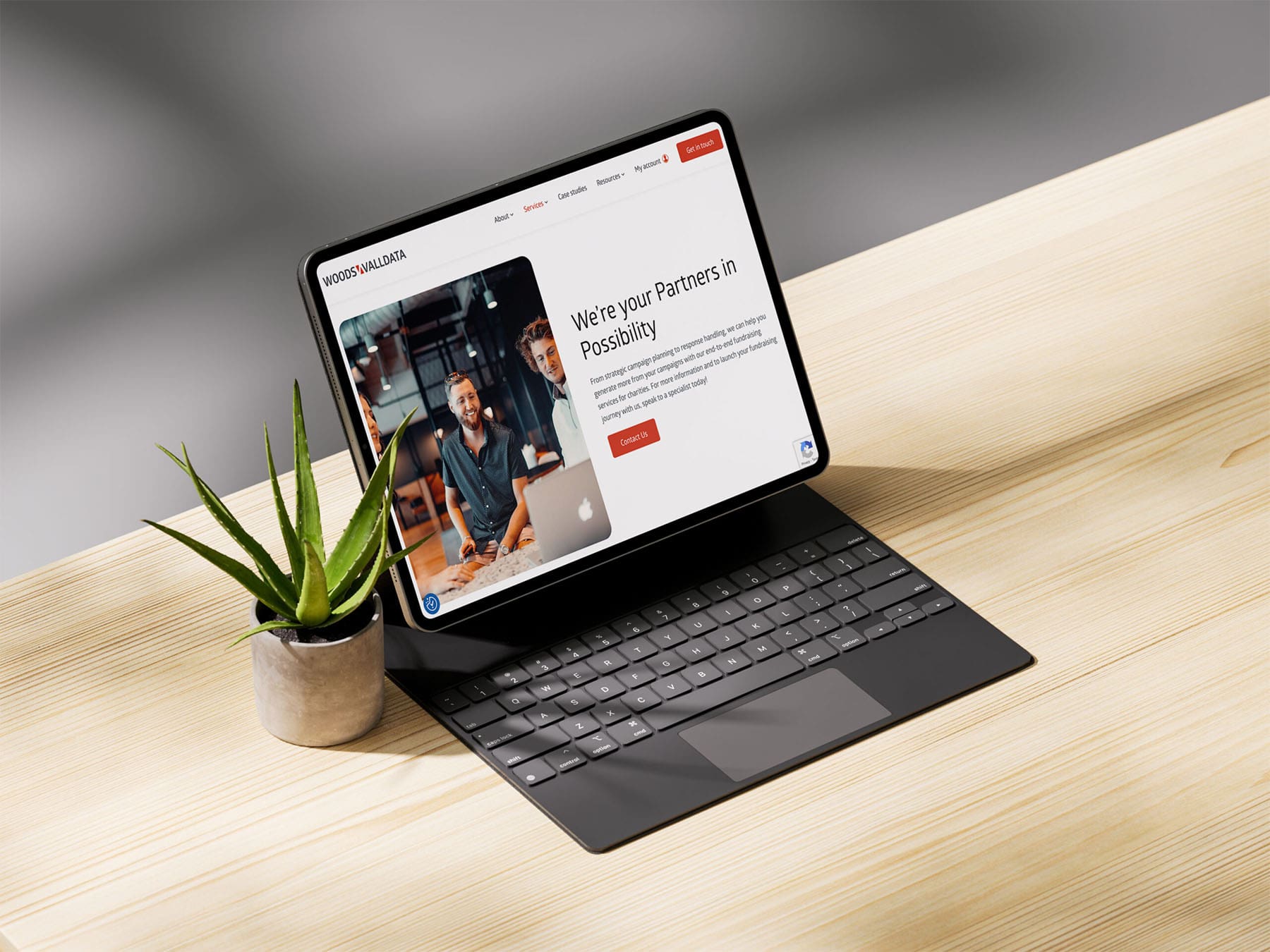 Woods Valldata website mockup